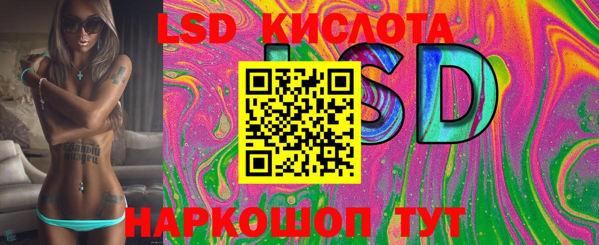 Губкин  наркошоп  Марки NBOMe 1500мкг  Вход с VPN  Марки NBOMe 1500мкг 
